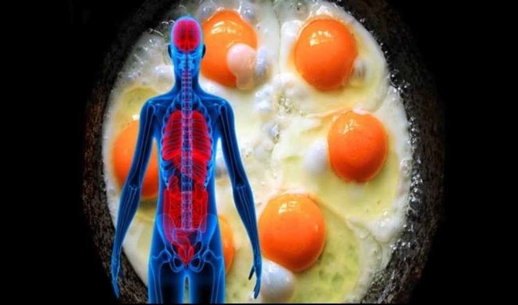 Super Foods: Δείτε τι θα συμβεί στον οργανισμό μας αν Φάμε 3 Αυγά μέσα σε μια μέρα!
